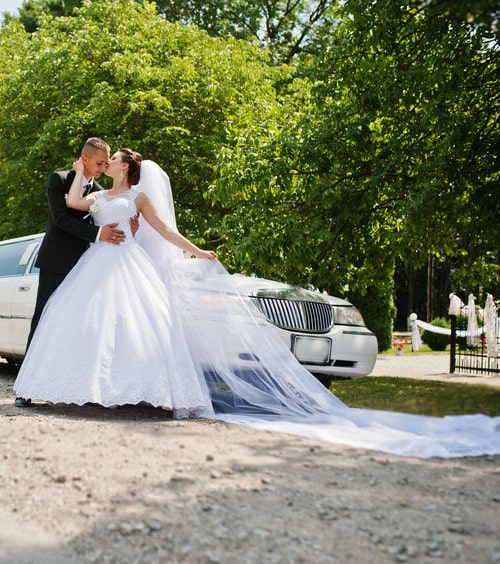 Party Bus Rental Joliet wedding